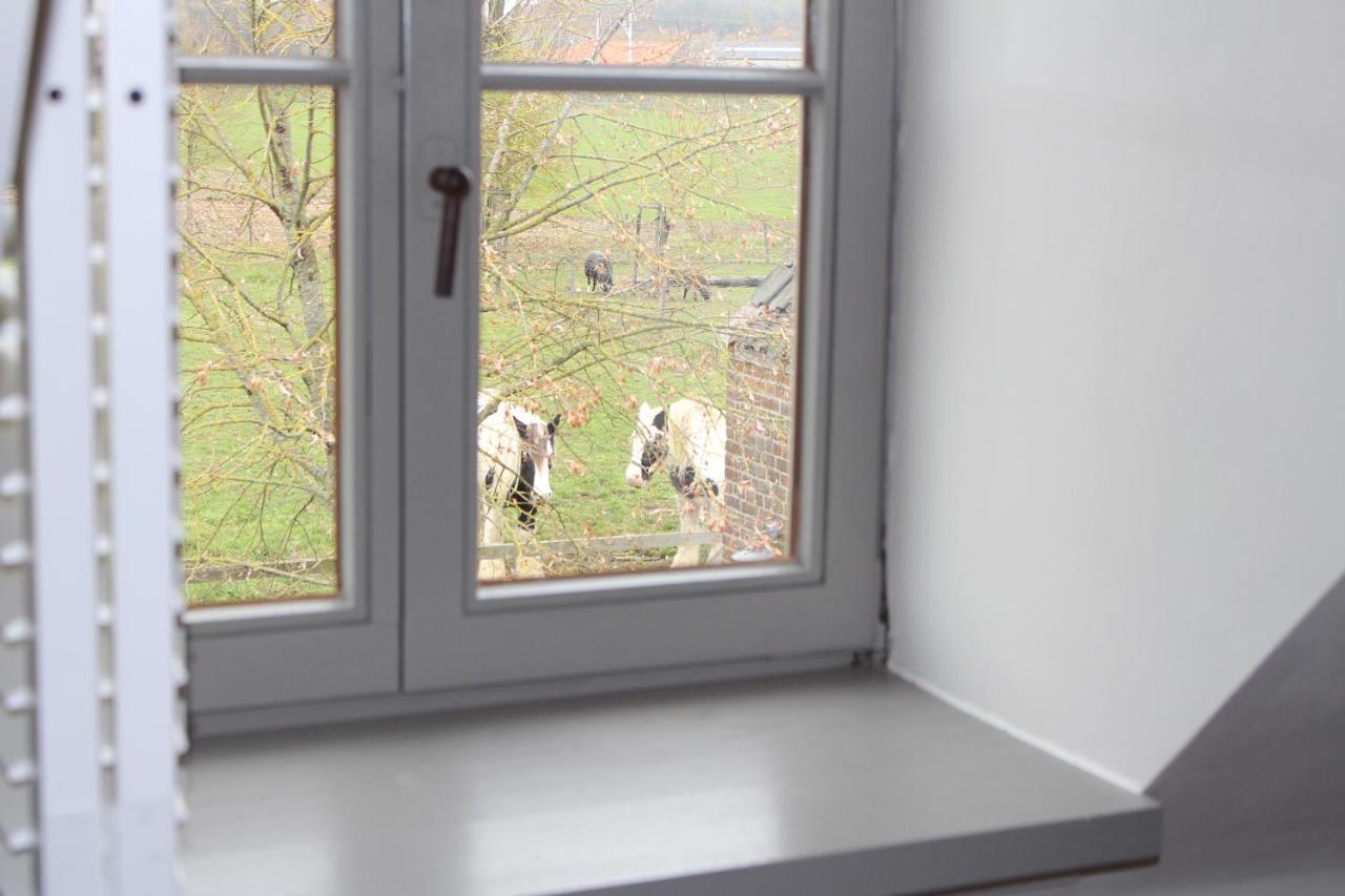 B&B Goed Ten Hulle Pittem Exterior photo